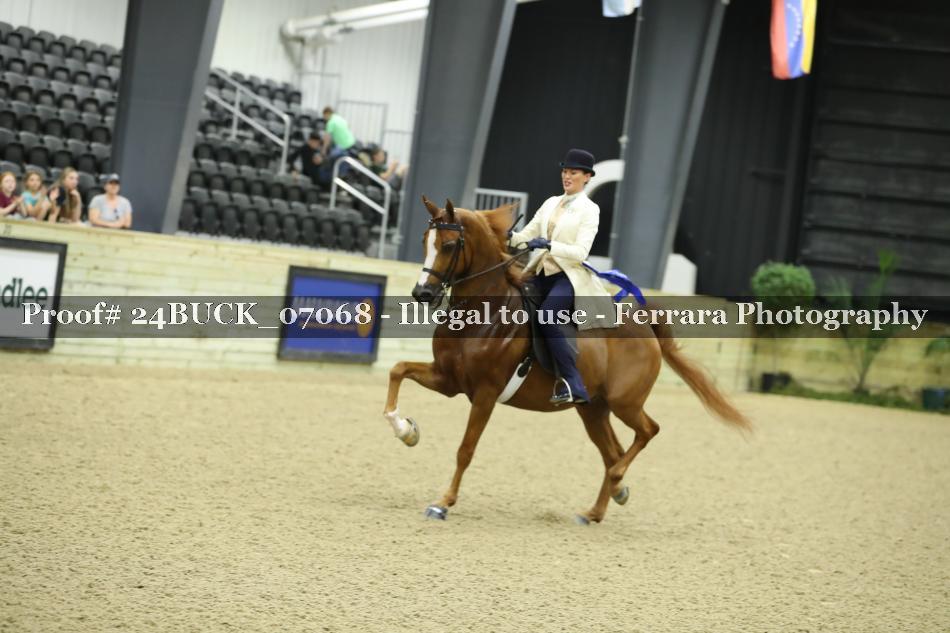 Proof 24BUCK_07068
