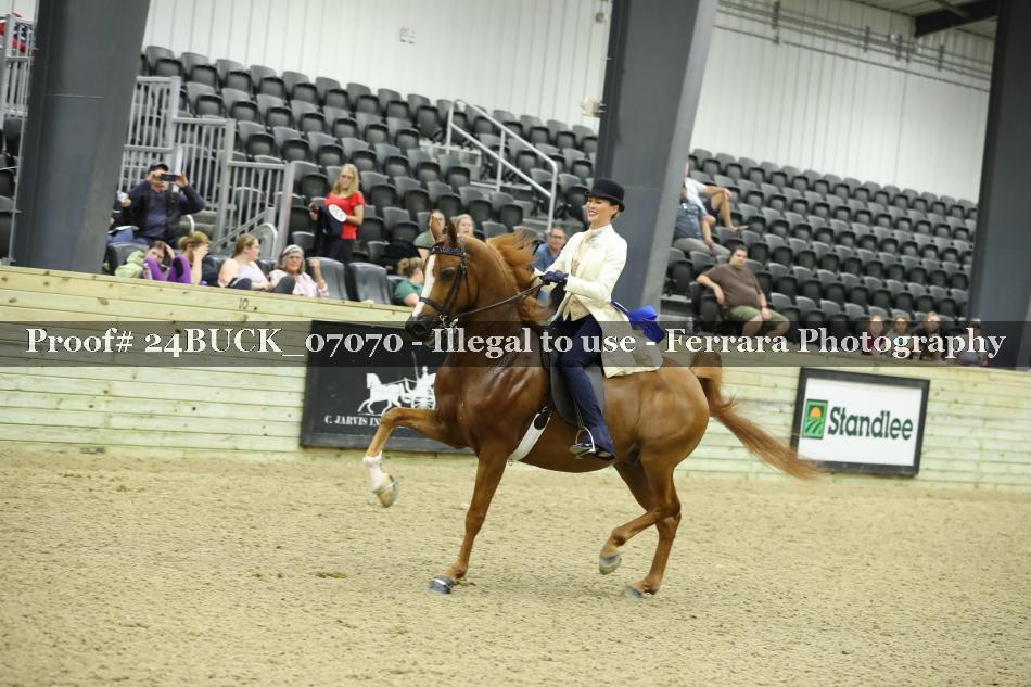 Proof 24BUCK_07070