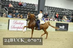 24BUCK_07071 proof