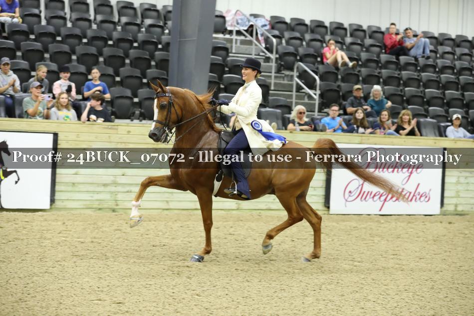 Proof 24BUCK_07072