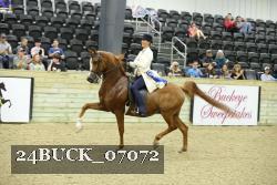 24BUCK_07072 proof