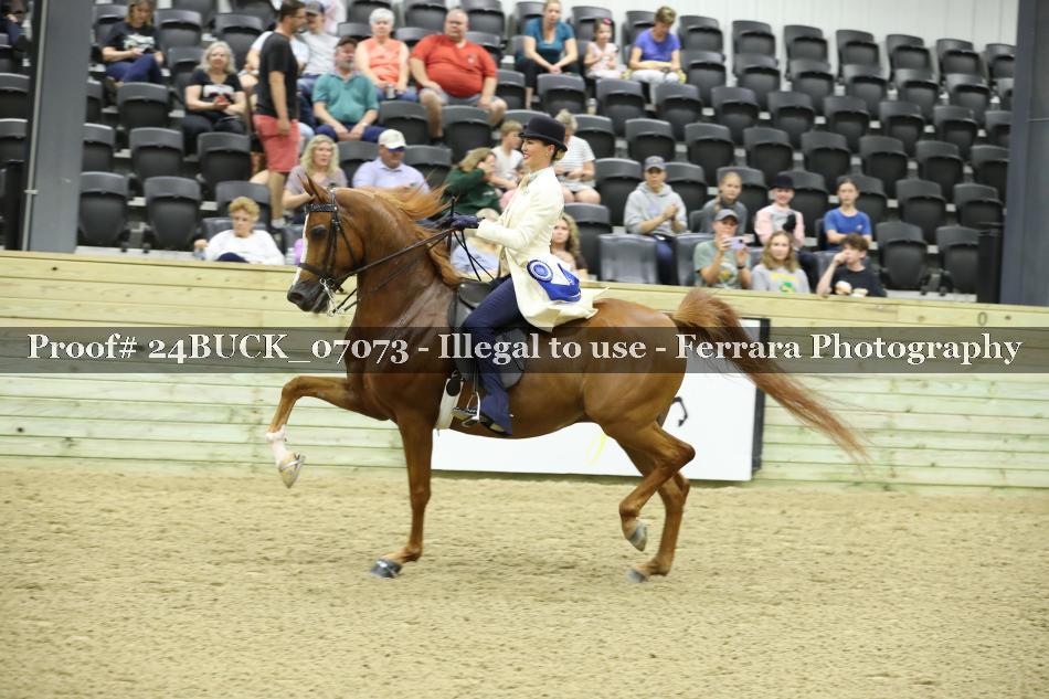 Proof 24BUCK_07073