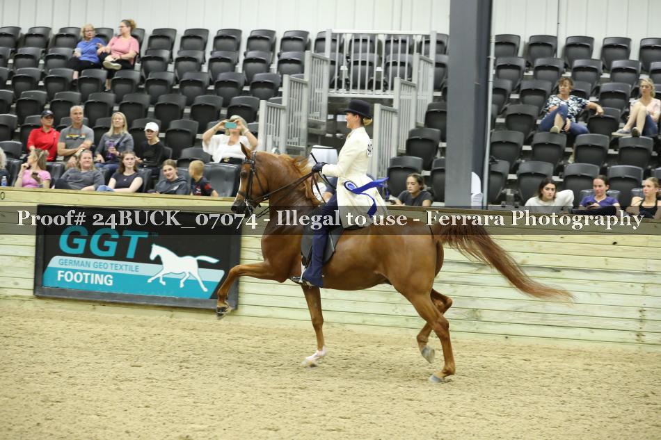 Proof 24BUCK_07074
