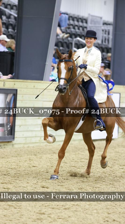 Proof 24BUCK_07075