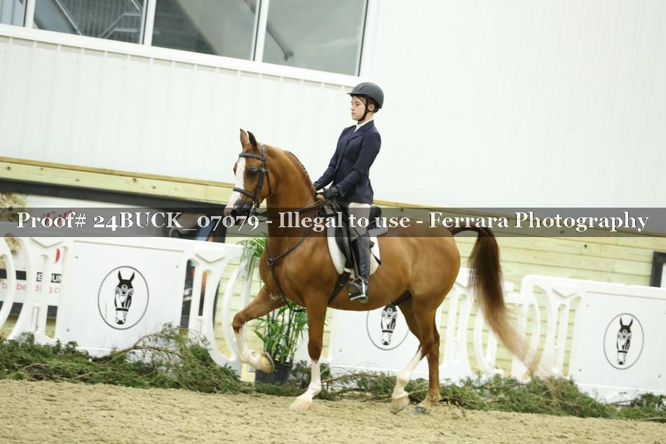 Proof 24BUCK_07079
