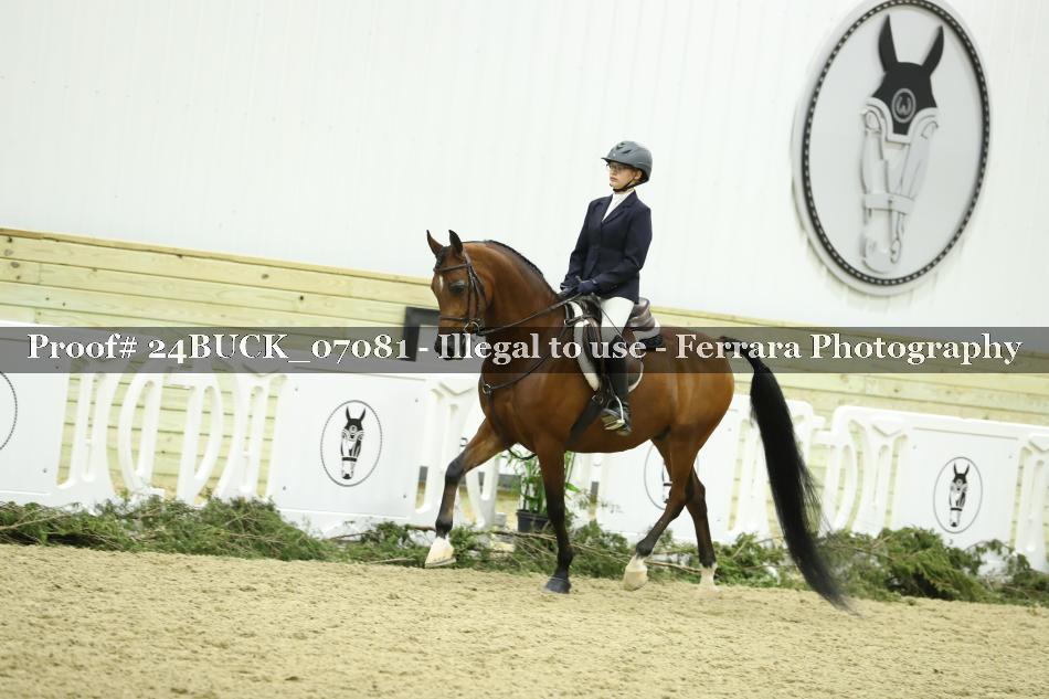 Proof 24BUCK_07081