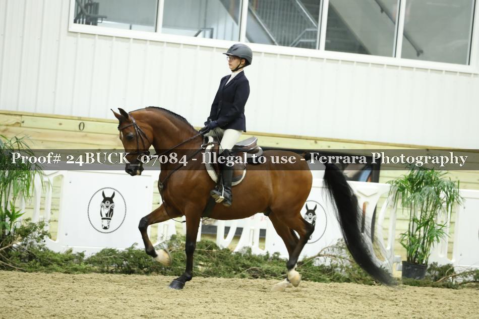 Proof 24BUCK_07084