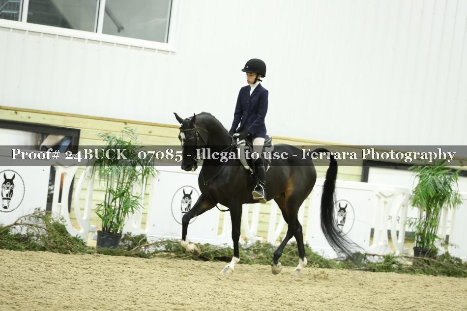 Proof 24BUCK_07085