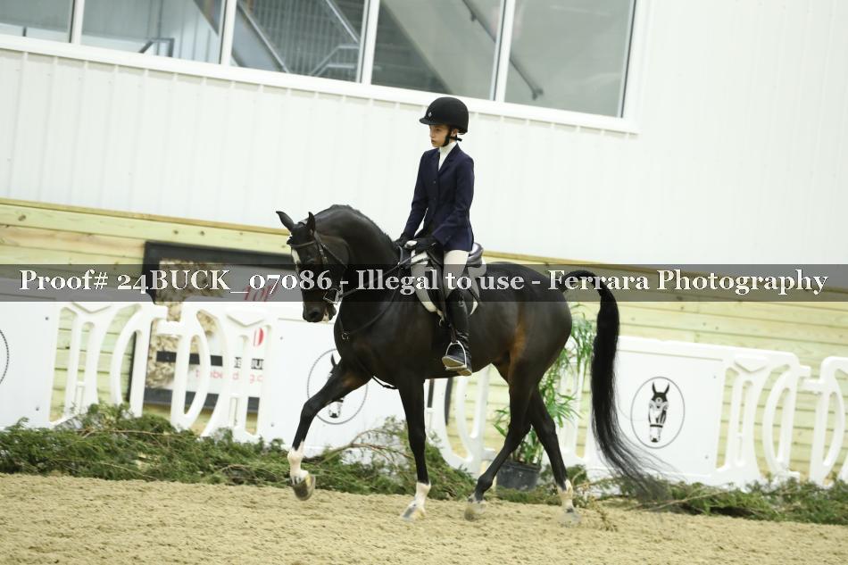 Proof 24BUCK_07086