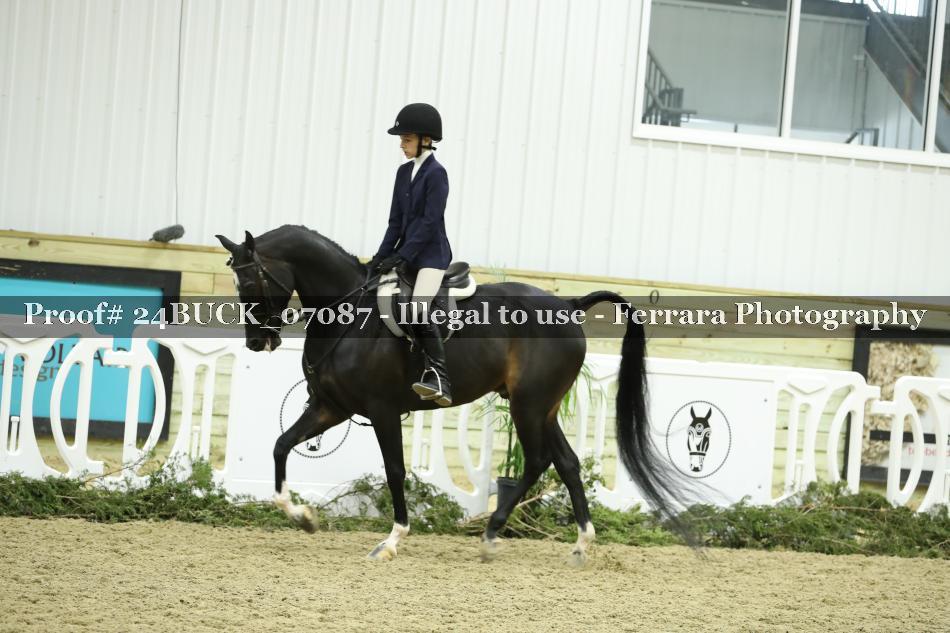 Proof 24BUCK_07087