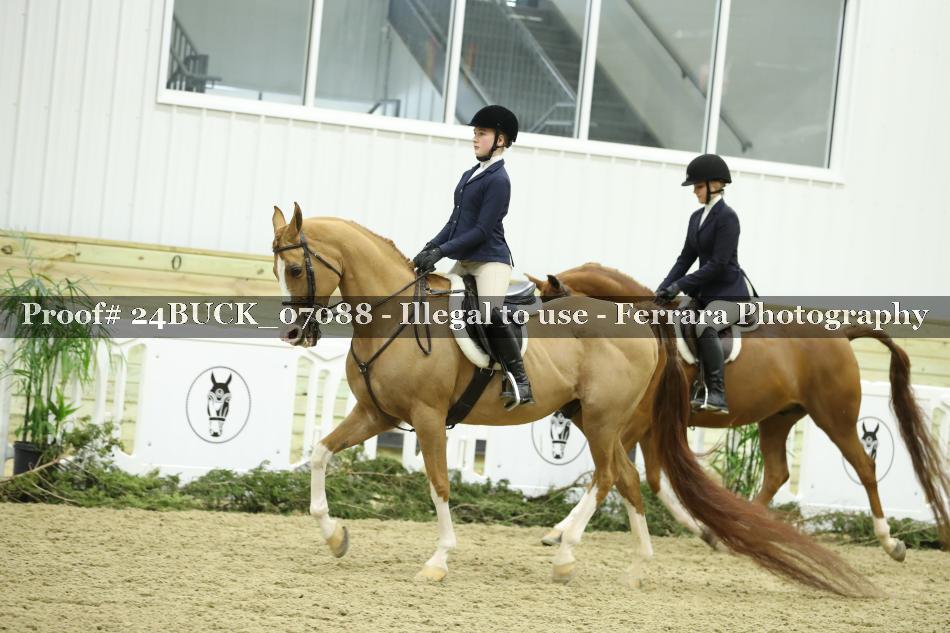 Proof 24BUCK_07088