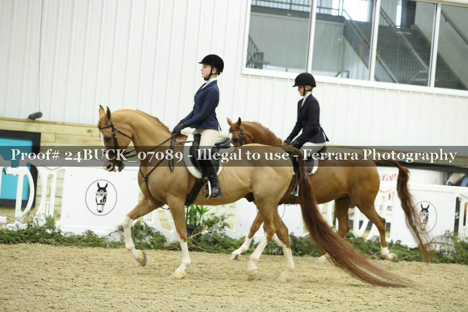 Proof 24BUCK_07089