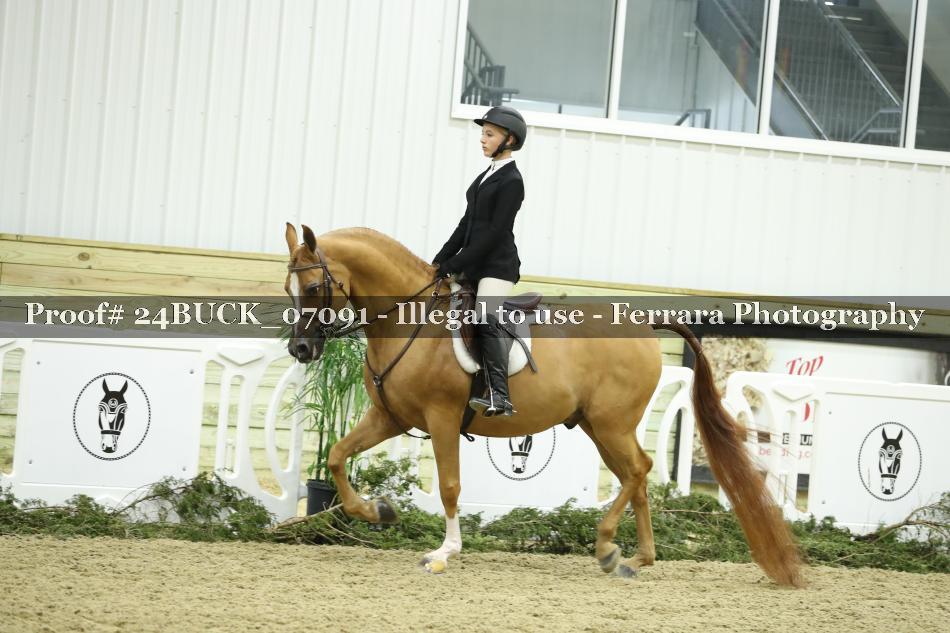 Proof 24BUCK_07091