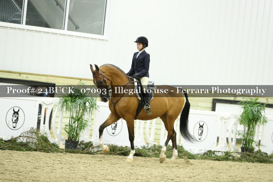 Proof 24BUCK_07093
