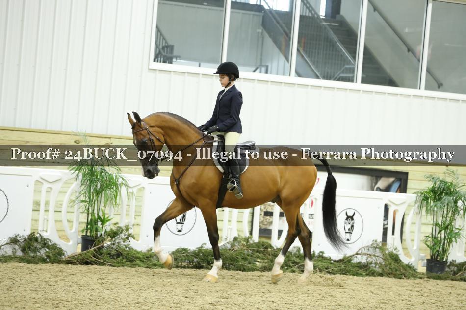 Proof 24BUCK_07094