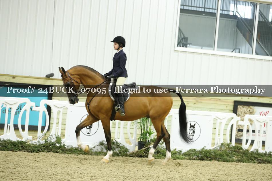 Proof 24BUCK_07095