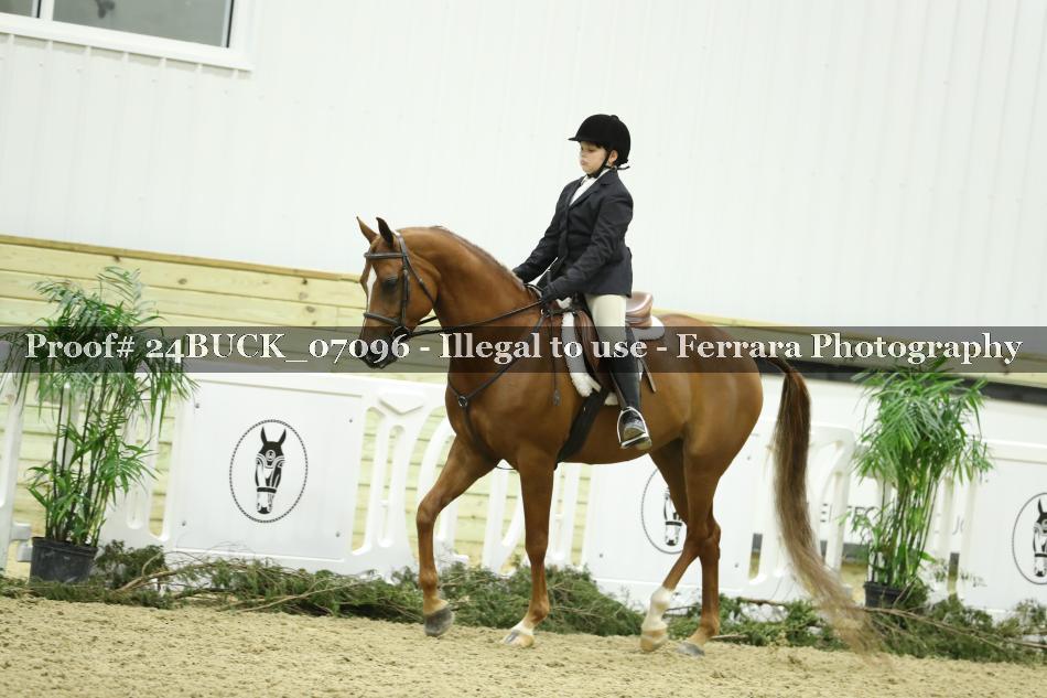 Proof 24BUCK_07096