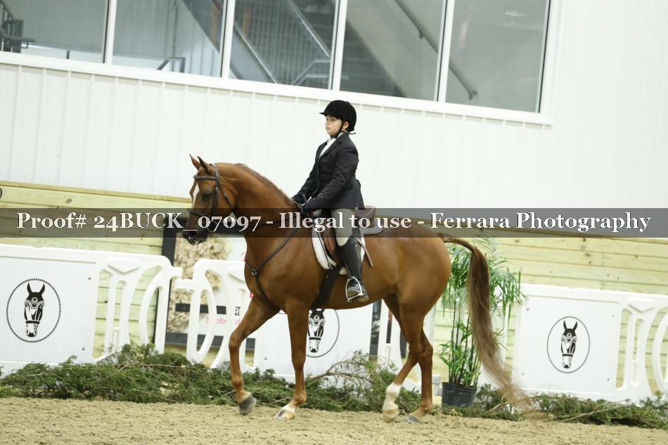 Proof 24BUCK_07097