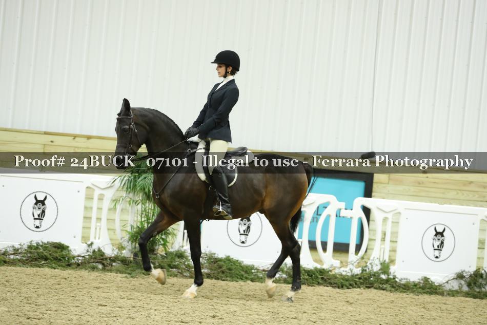 Proof 24BUCK_07101