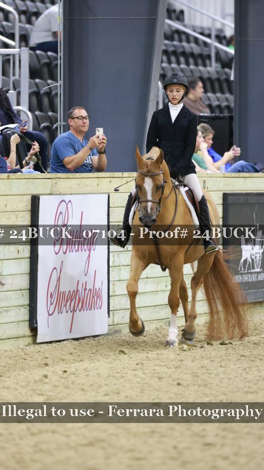 Proof 24BUCK_07104