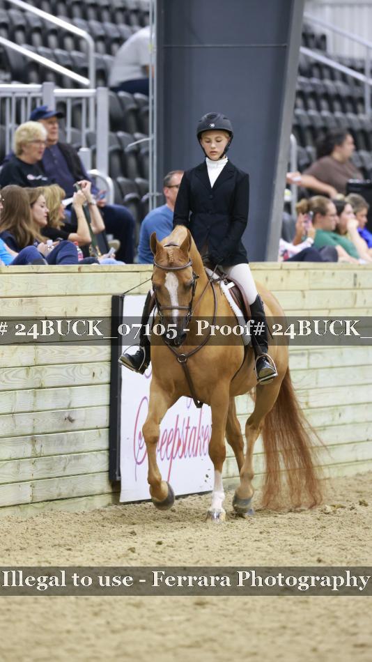 Proof 24BUCK_07105