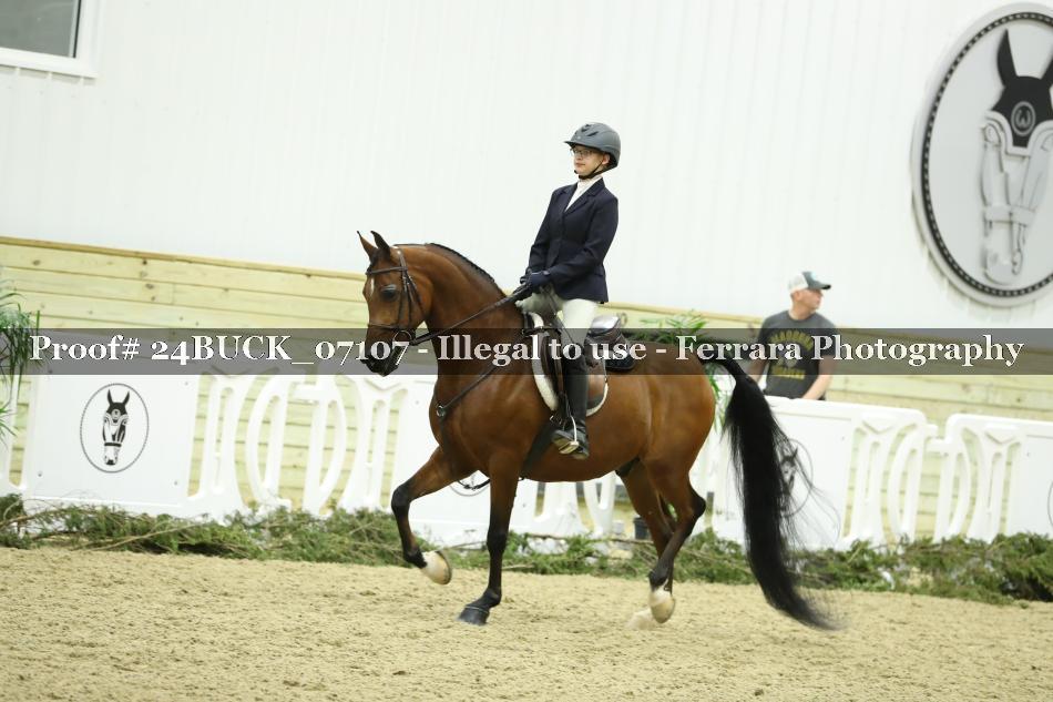 Proof 24BUCK_07107