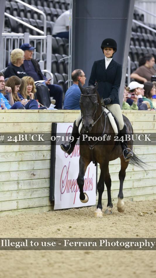 Proof 24BUCK_07119
