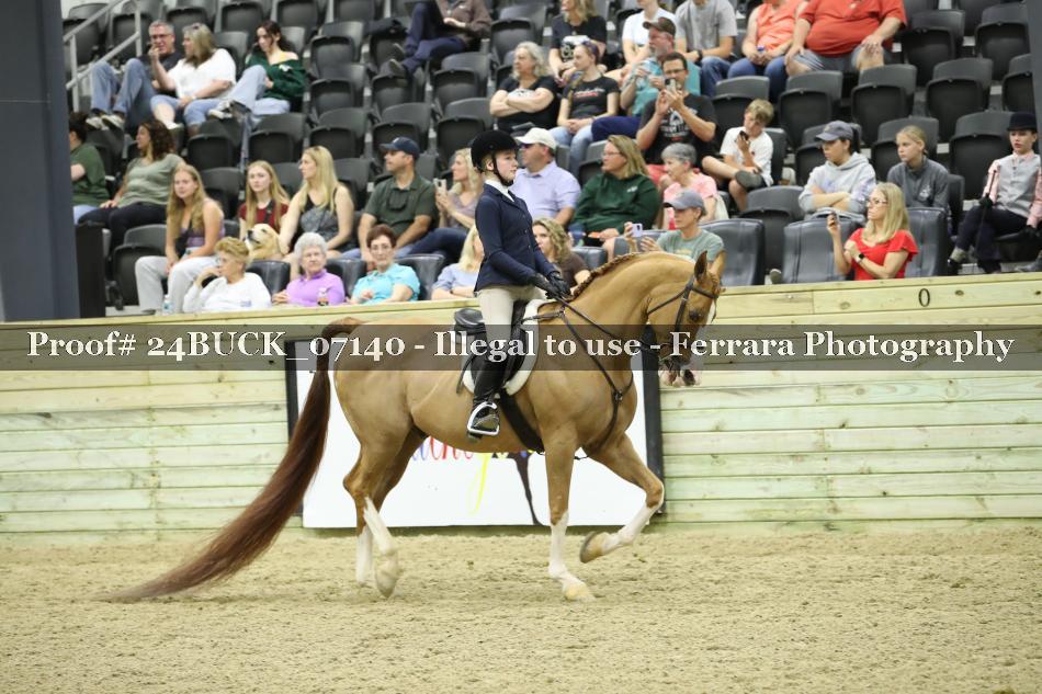 Proof 24BUCK_07140