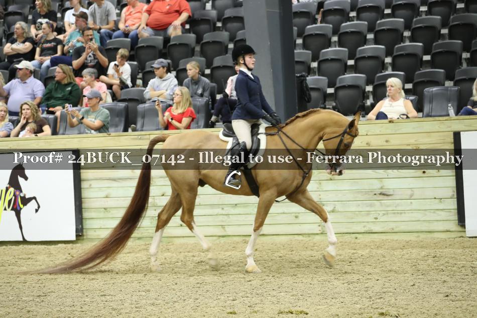 Proof 24BUCK_07142
