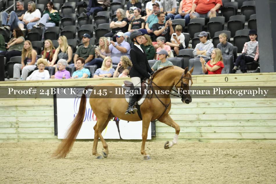 Proof 24BUCK_07145