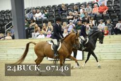 24BUCK_07146 proof