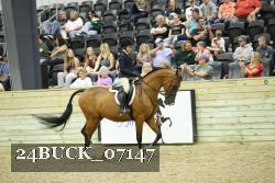 24BUCK_07147 proof