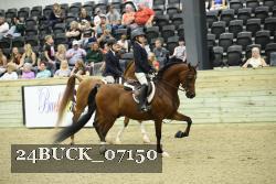 24BUCK_07150 proof