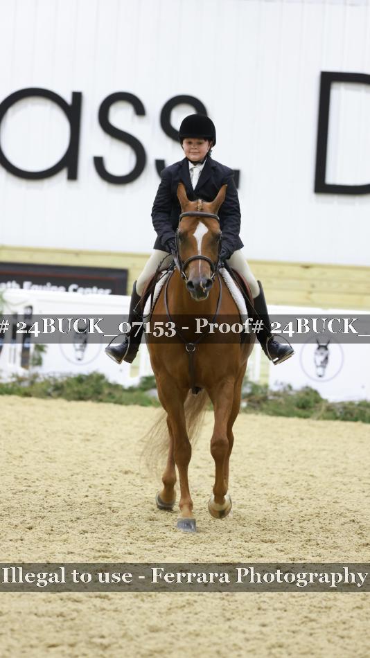 Proof 24BUCK_07153