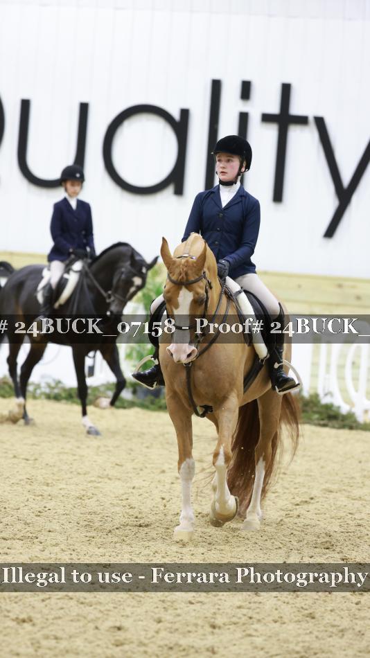 Proof 24BUCK_07158
