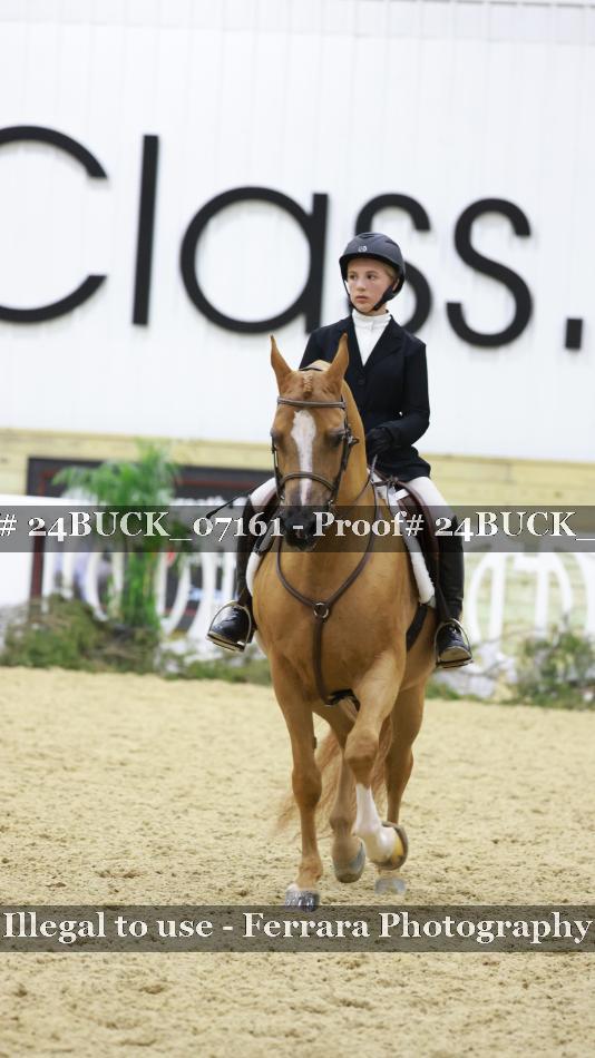 Proof 24BUCK_07161