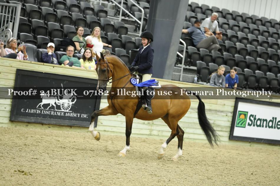 Proof 24BUCK_07182