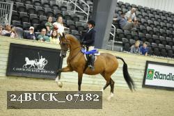 24BUCK_07182 proof