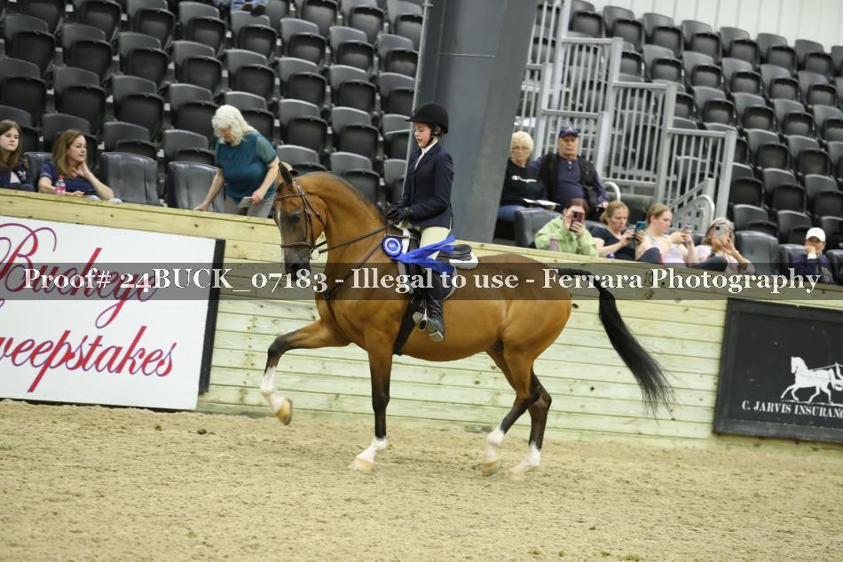 Proof 24BUCK_07183