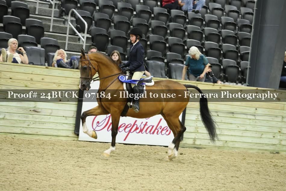 Proof 24BUCK_07184