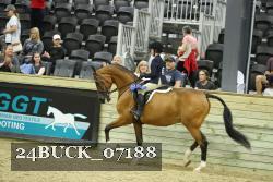 24BUCK_07188 proof