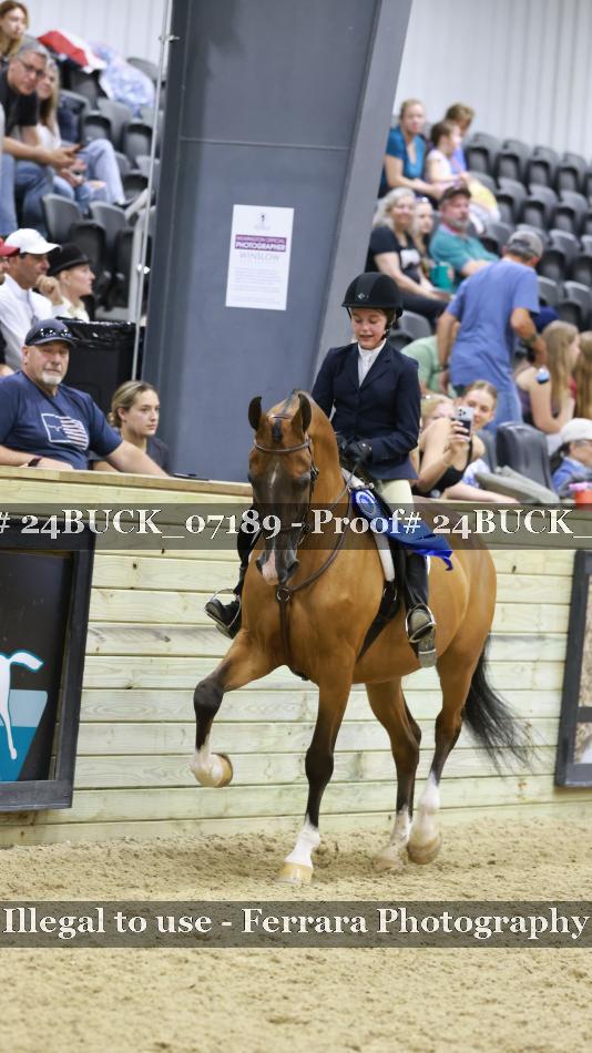 Proof 24BUCK_07189