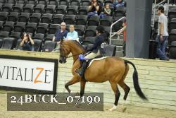 24BUCK_07190 proof
