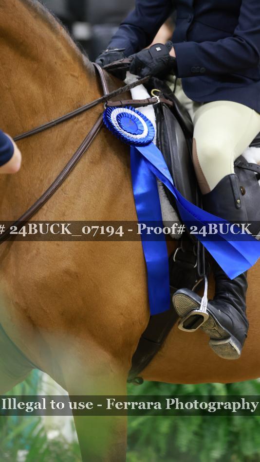 Proof 24BUCK_07194
