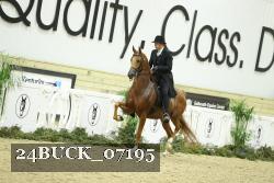 24BUCK_07195 proof