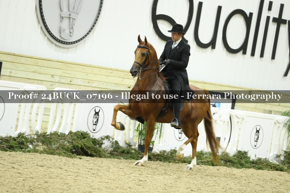 Proof 24BUCK_07196