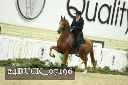 24BUCK_07196 proof