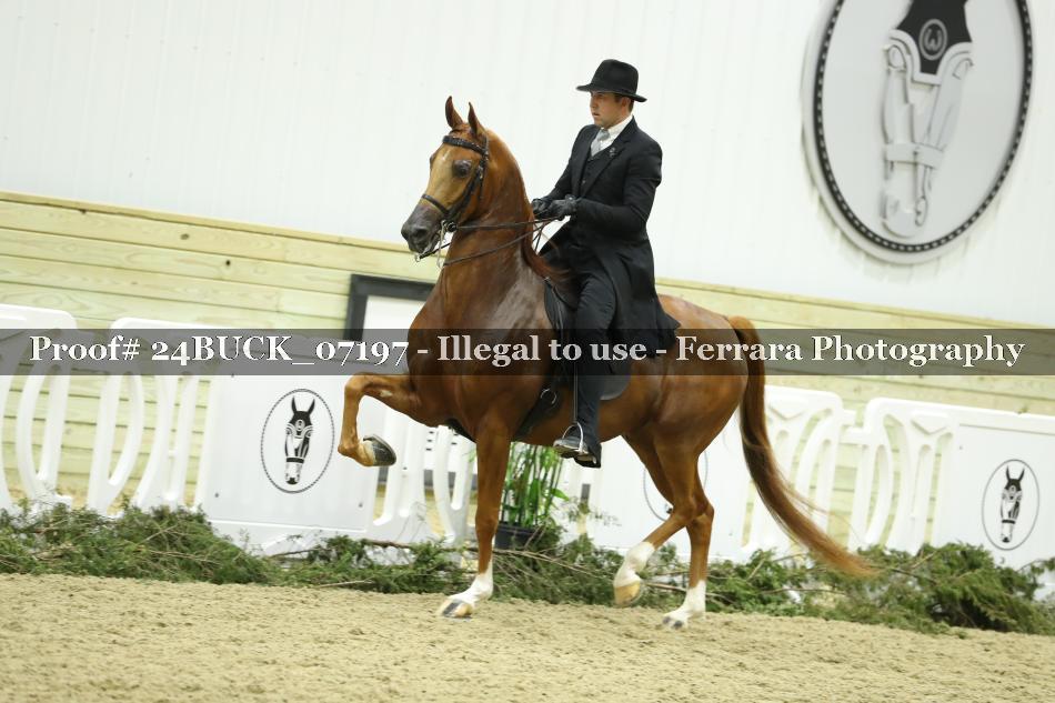 Proof 24BUCK_07197