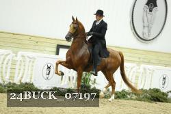 24BUCK_07197 proof