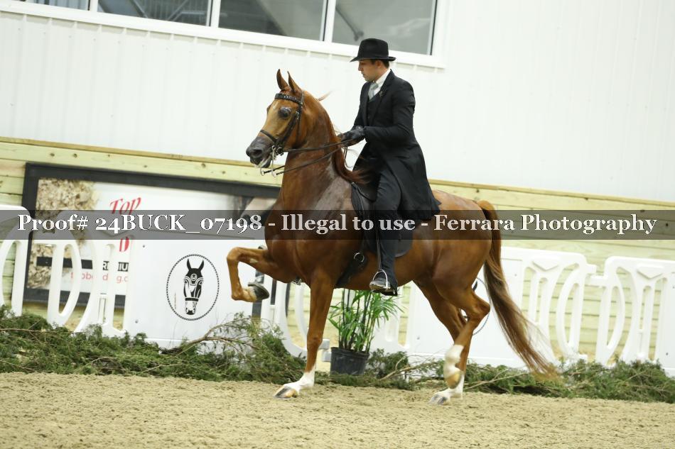 Proof 24BUCK_07198